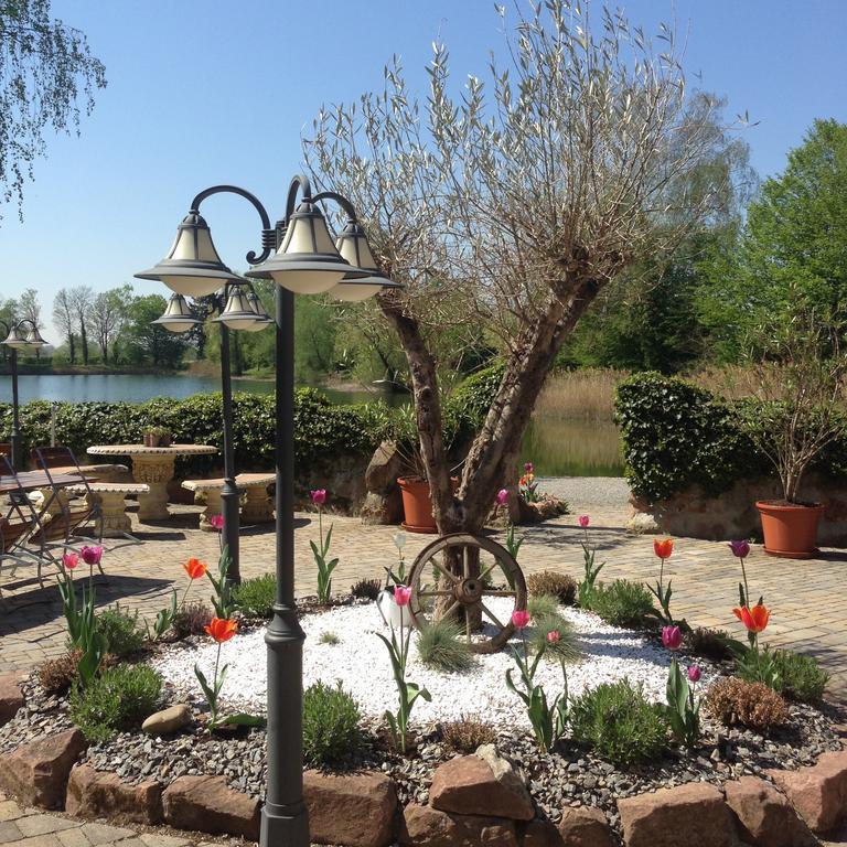 Seehotel Europa Schwanau Buitenkant foto